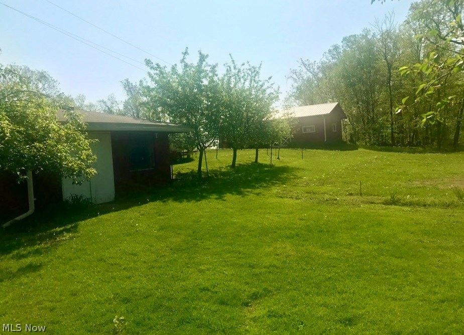 2114 Pike Road St. Marys, WV 26170 - Photo 4 of 18 Cellar and Fruit Trees