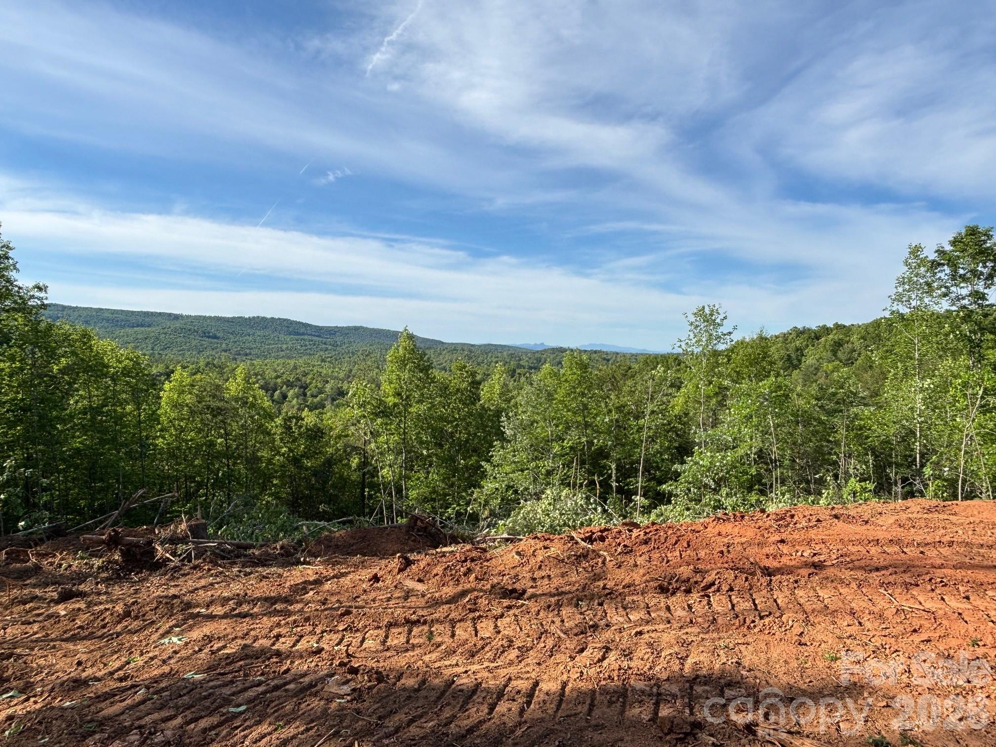 Tbd Vein Mountain Road, Unit 6 Nebo, NC 28761 - Photo 4 of 15