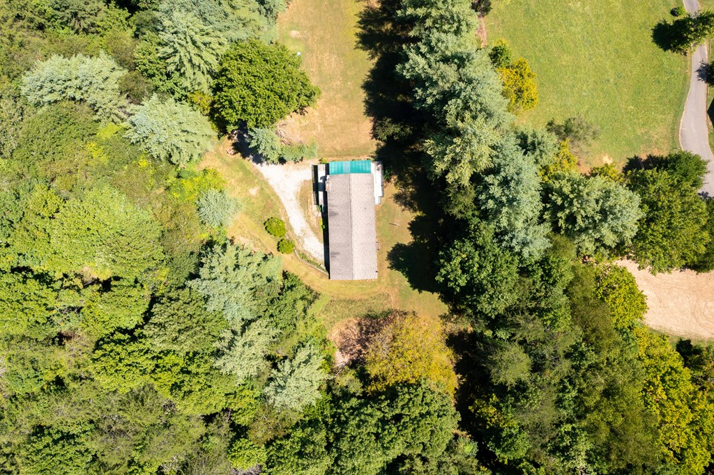 322 Hall Road Warne, NC 28909 - Photo 31 of 35 Gallery Image 31