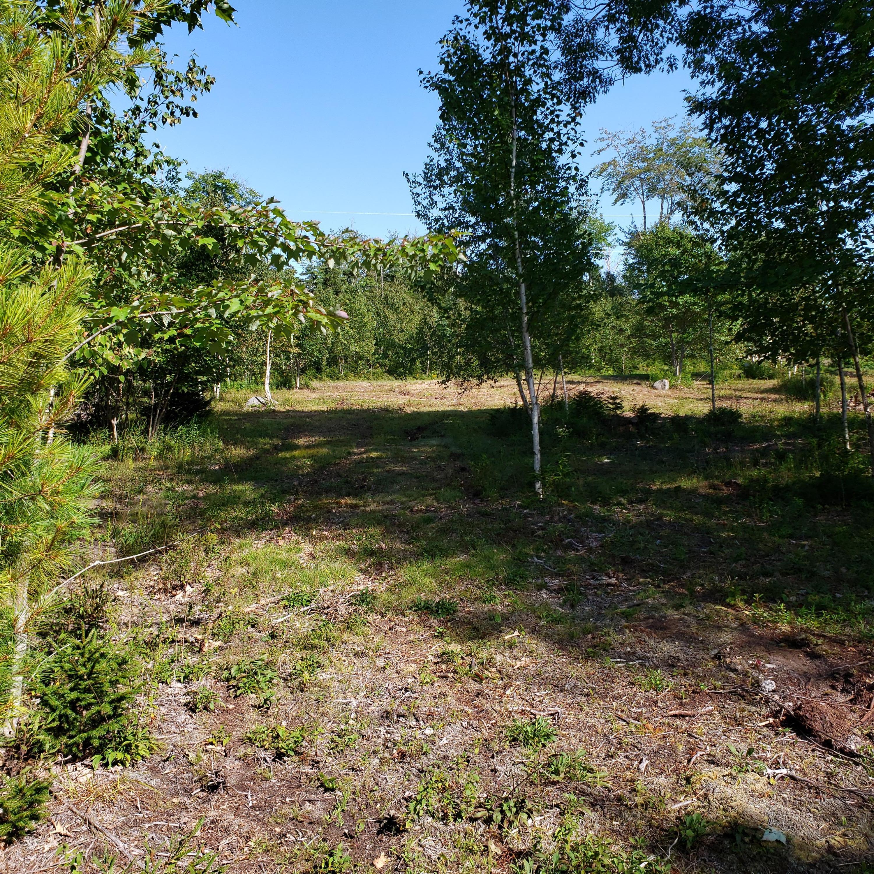 53 Cushing Farm Road New Harbor, ME 04554 - Photo 16 of 17 20190826_152748
