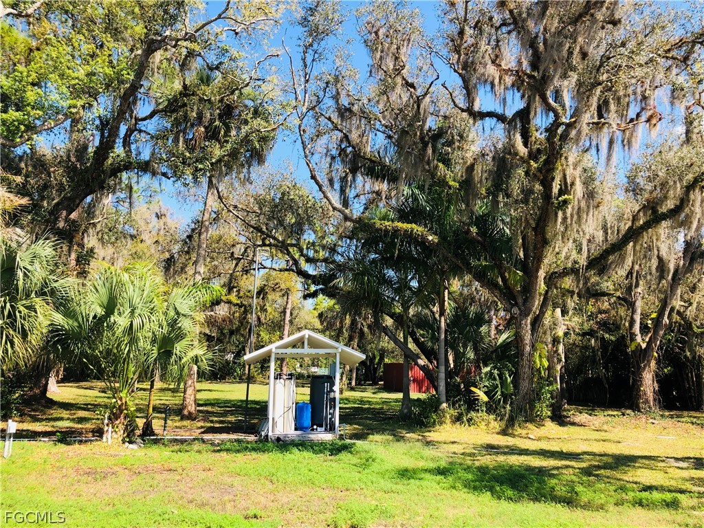 17500 Taylor Road Alva, FL 33920 - Photo 4 of 10 a view of swimming pool with lawn chairs and large trees