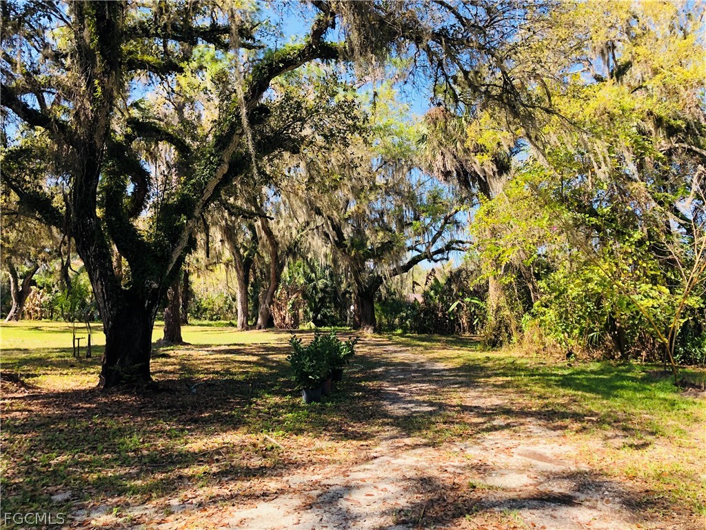 17500 Taylor Road Alva, FL 33920 - Photo 9 of 10