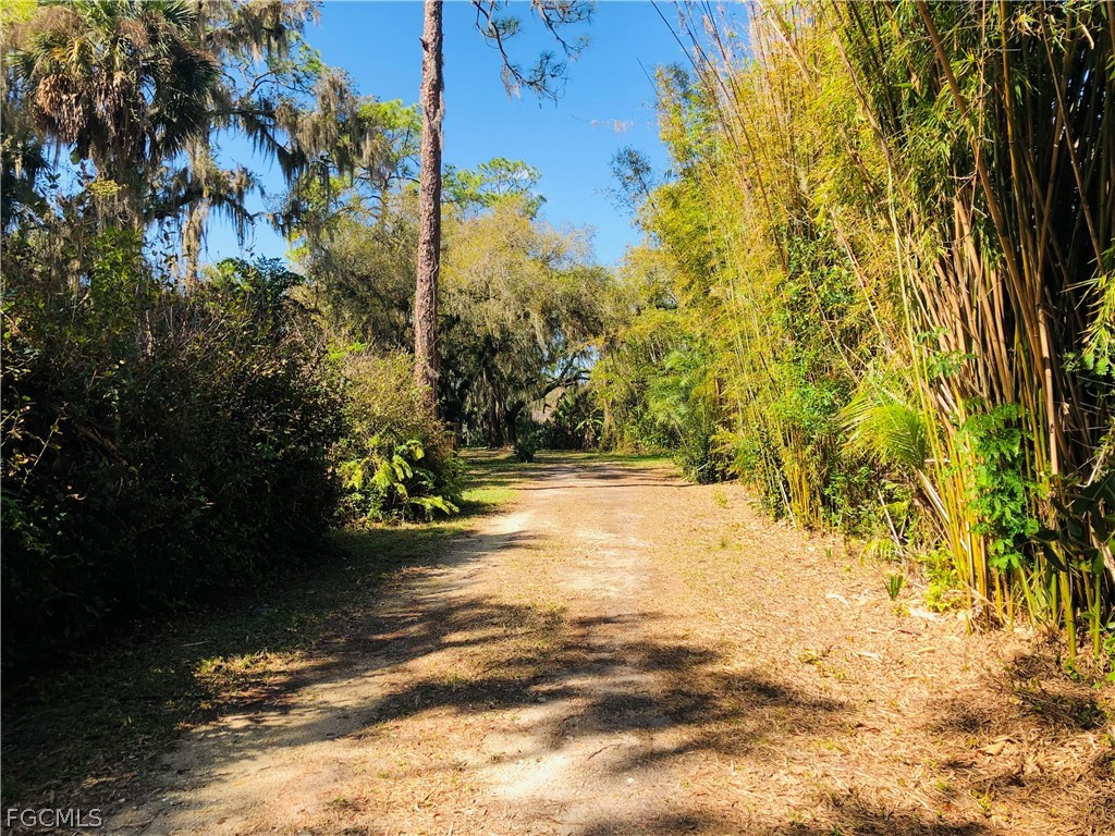 17500 Taylor Road Alva, FL 33920 - Photo 10 of 10 a view of lake view