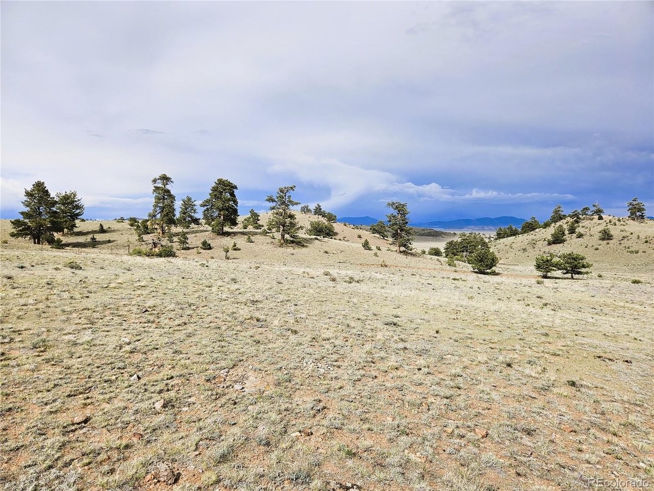 24131 Chato Road Hartsel, CO 80449 - Photo 18 of 28