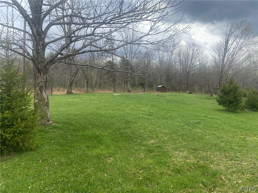 8708 Oramel Hill Road Caneadea, NY 14717 - Photo 5 of 11