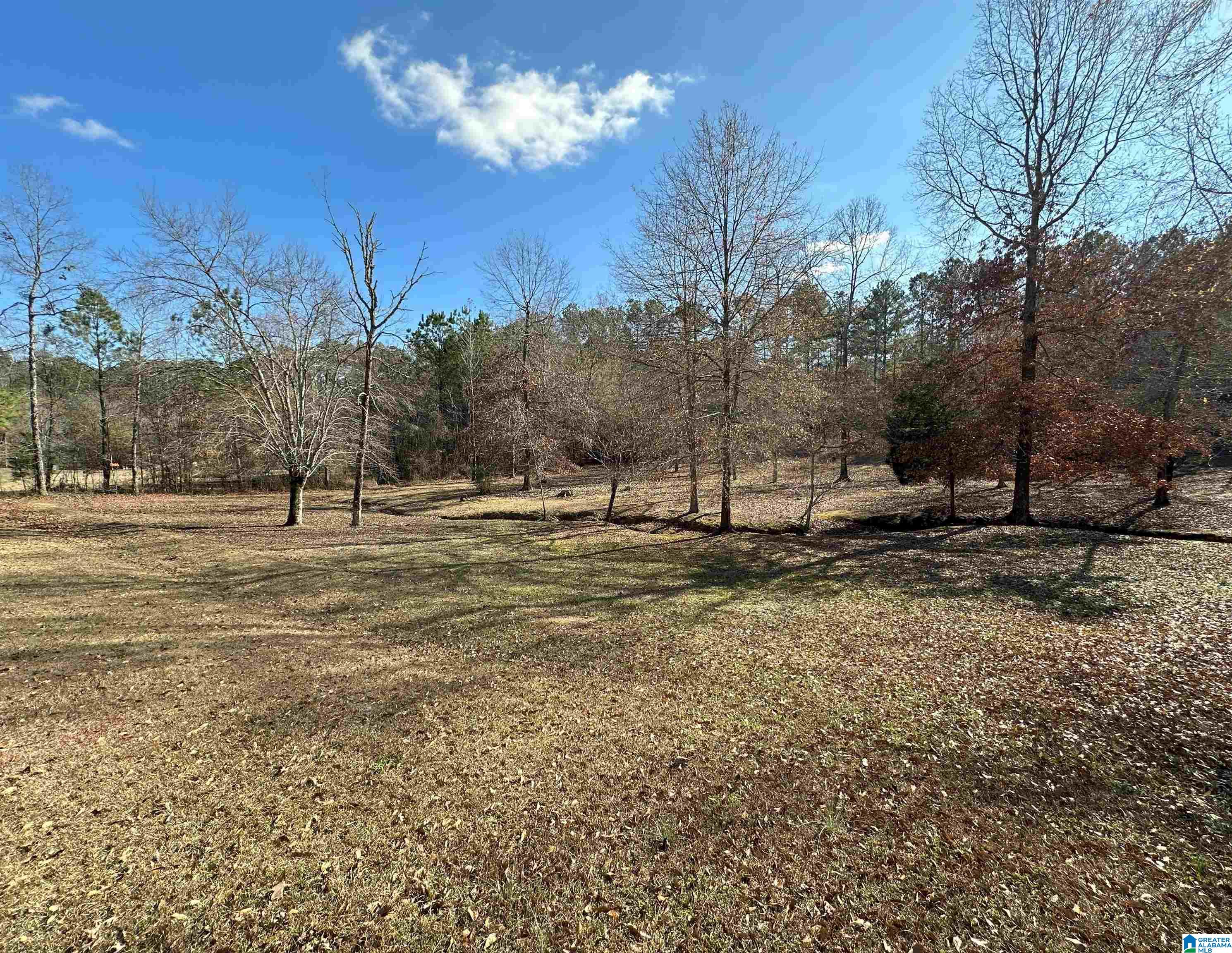 535 Oak Circle Ohatchee, AL 36271 - Photo 12 of 18