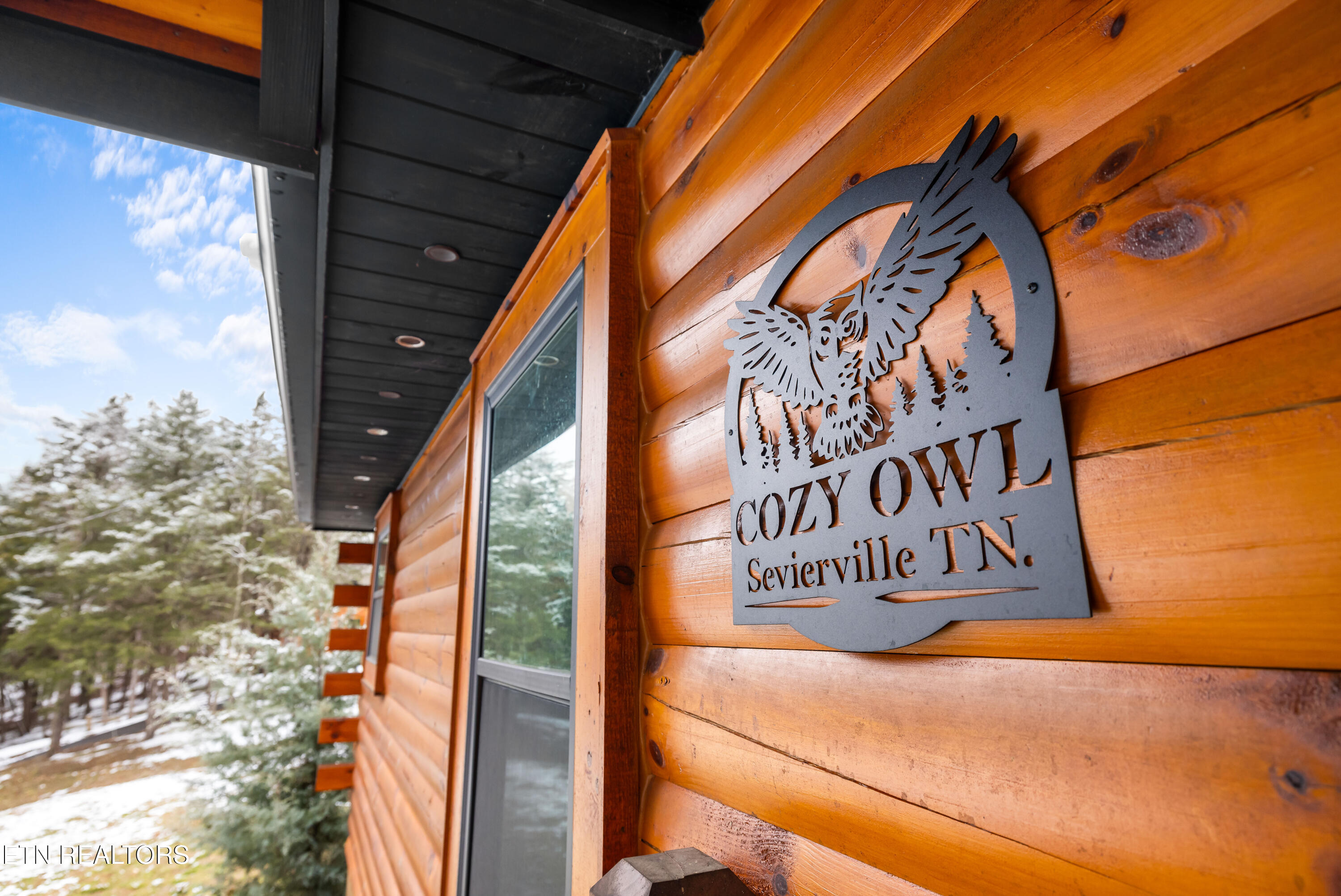 1069 Timberlake Circle Sevierville, TN 37876 - Photo 12 of 43 1069 Timberlake Cir-52