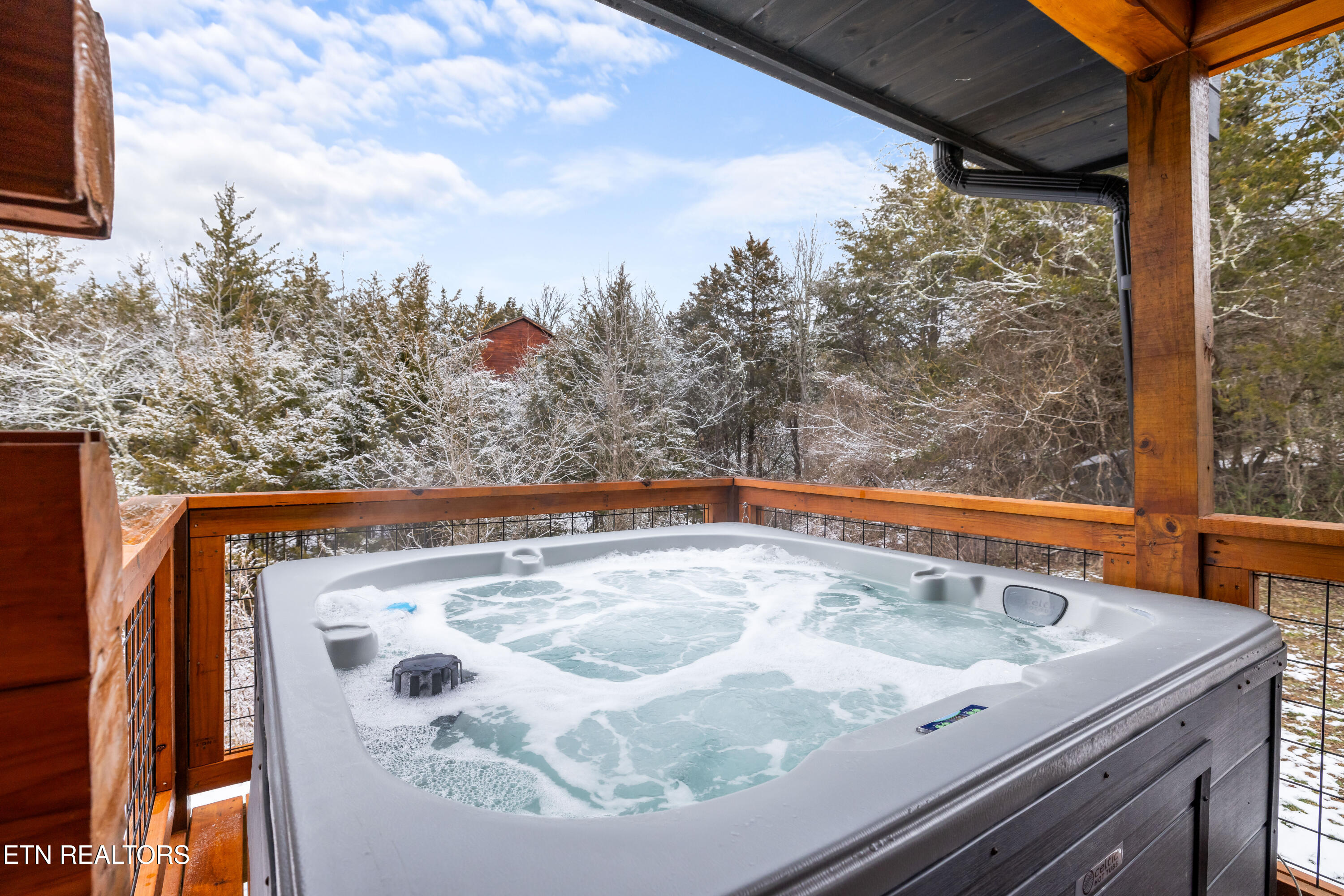 1069 Timberlake Circle Sevierville, TN 37876 - Photo 37 of 43 1069 Timberlake Cir-49