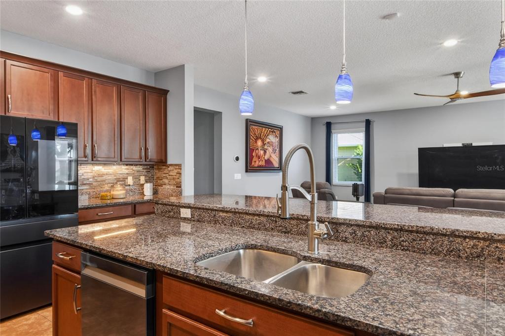 232 Magneta Loop Auburndale, FL 33823 - Photo 40 of 80 a kitchen with granite countertop a sink and a wooden floor