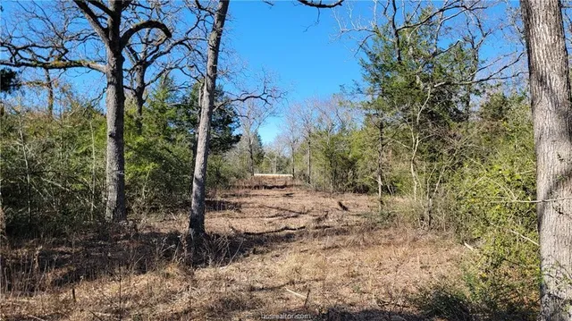 $899,900 | Lot 9 Old Hickory Trail, Franklin, TX 77856