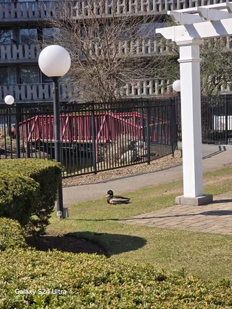 $400,000 | 200 Swanton Street, Unit T35, Winchester, MA 01890