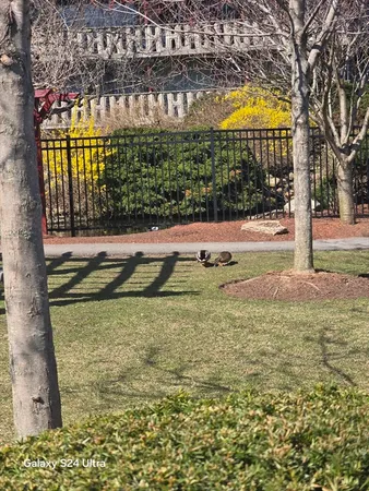 $400,000 | 200 Swanton Street, Unit T35, Winchester, MA 01890