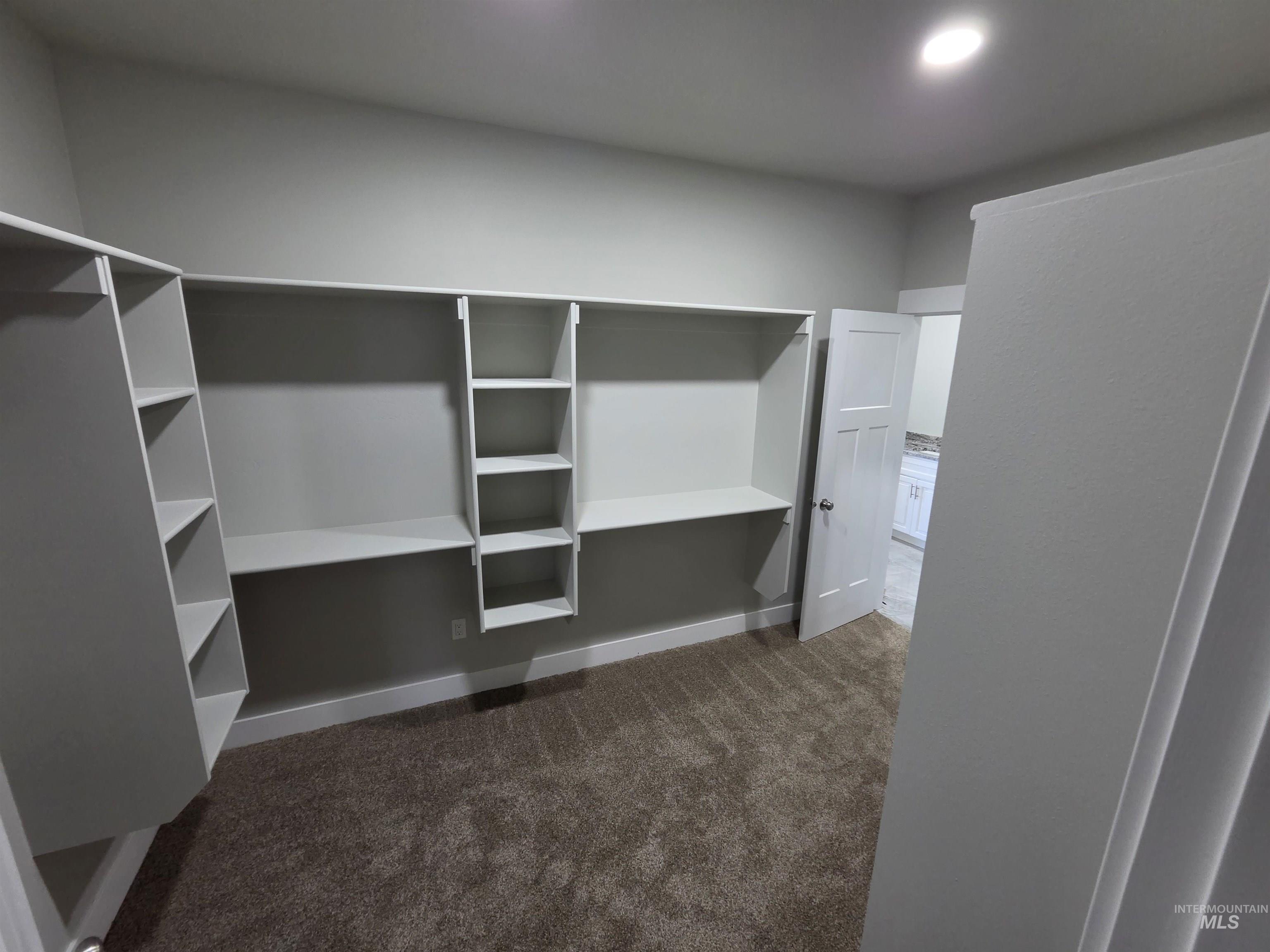 39 Lakeside Loop Burley, ID 83318 - Photo 10 of 15 Walk in closet featuring dark carpet