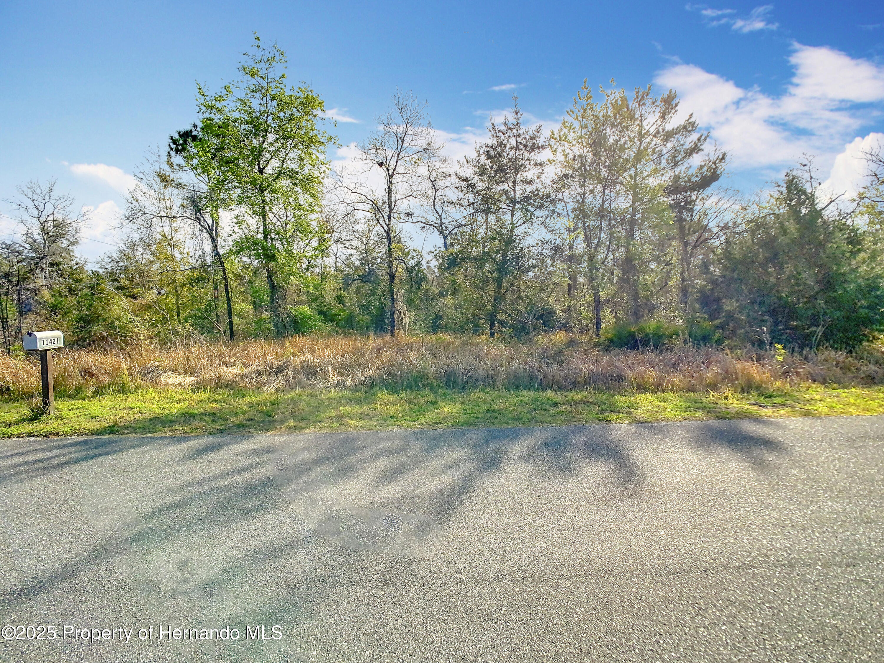 0 Maripoe Road Weeki Wachee, FL 34614 - Photo 1 of 39