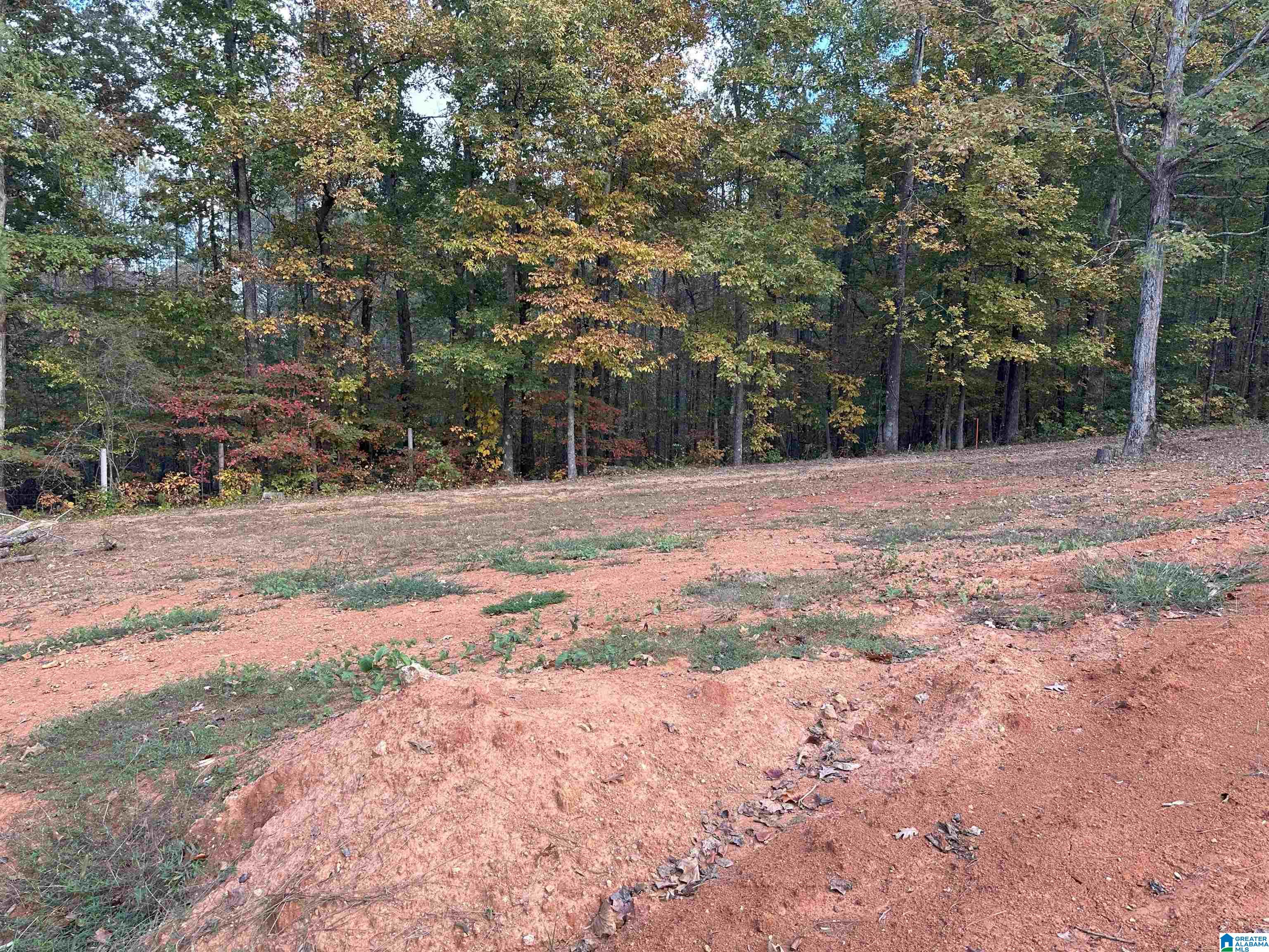 55 Oak Tree Street Cropwell, AL 35054 - Photo 13 of 27