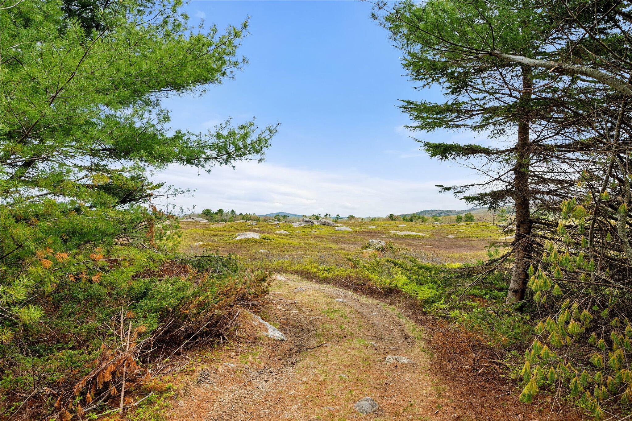 6 Map Road Orland, ME 04472 - Photo 8 of 22 Map 6, Lot 31 C Cedar Swamp Rd.