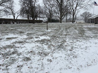 1114 South Perrine Centralia, IL 62801 - Photo 70 of 73 a view of empty yard with trees