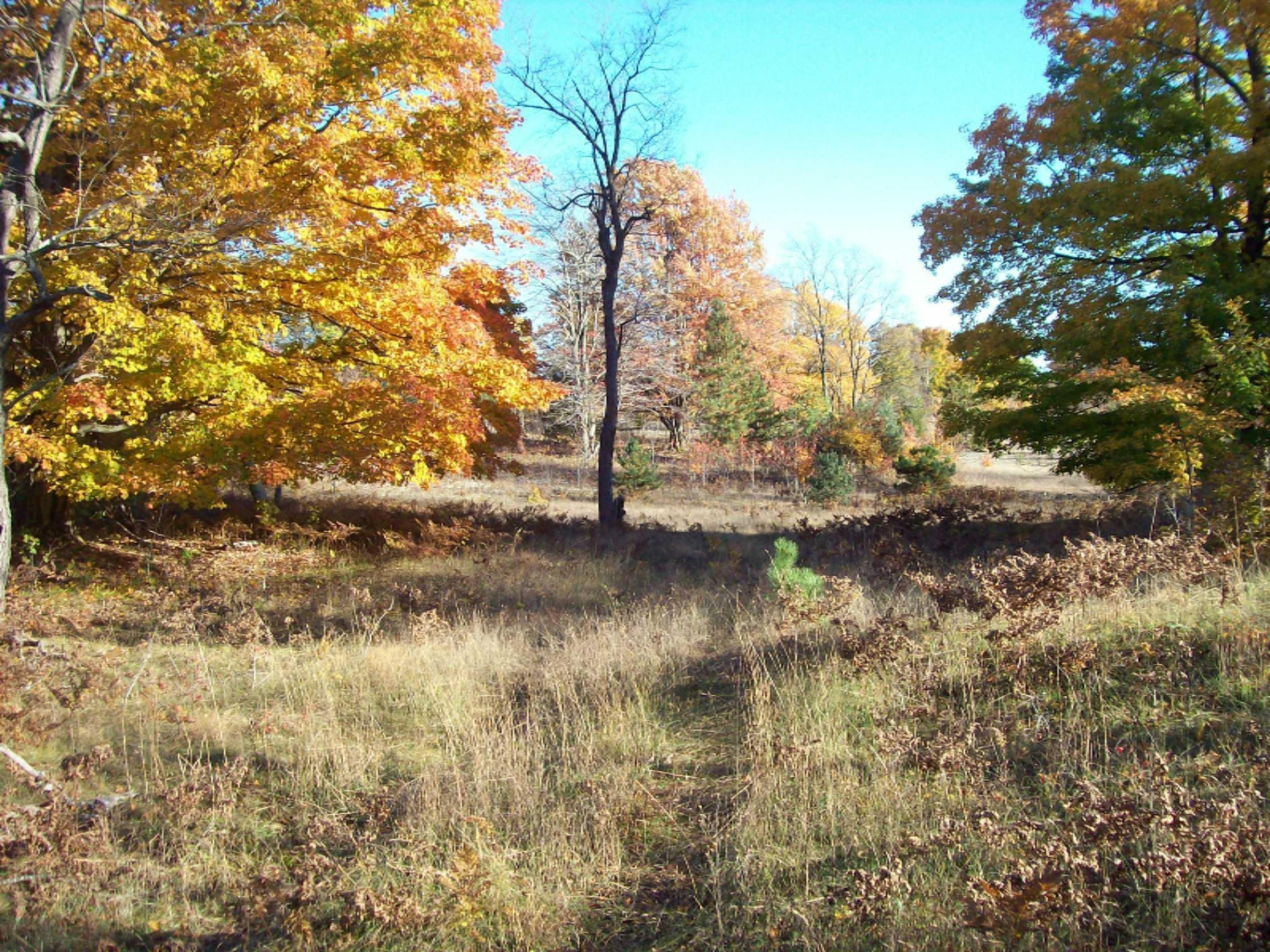 11070 10 1/2 Road Copemish, MI 49625 - Photo 12 of 16 100_7293