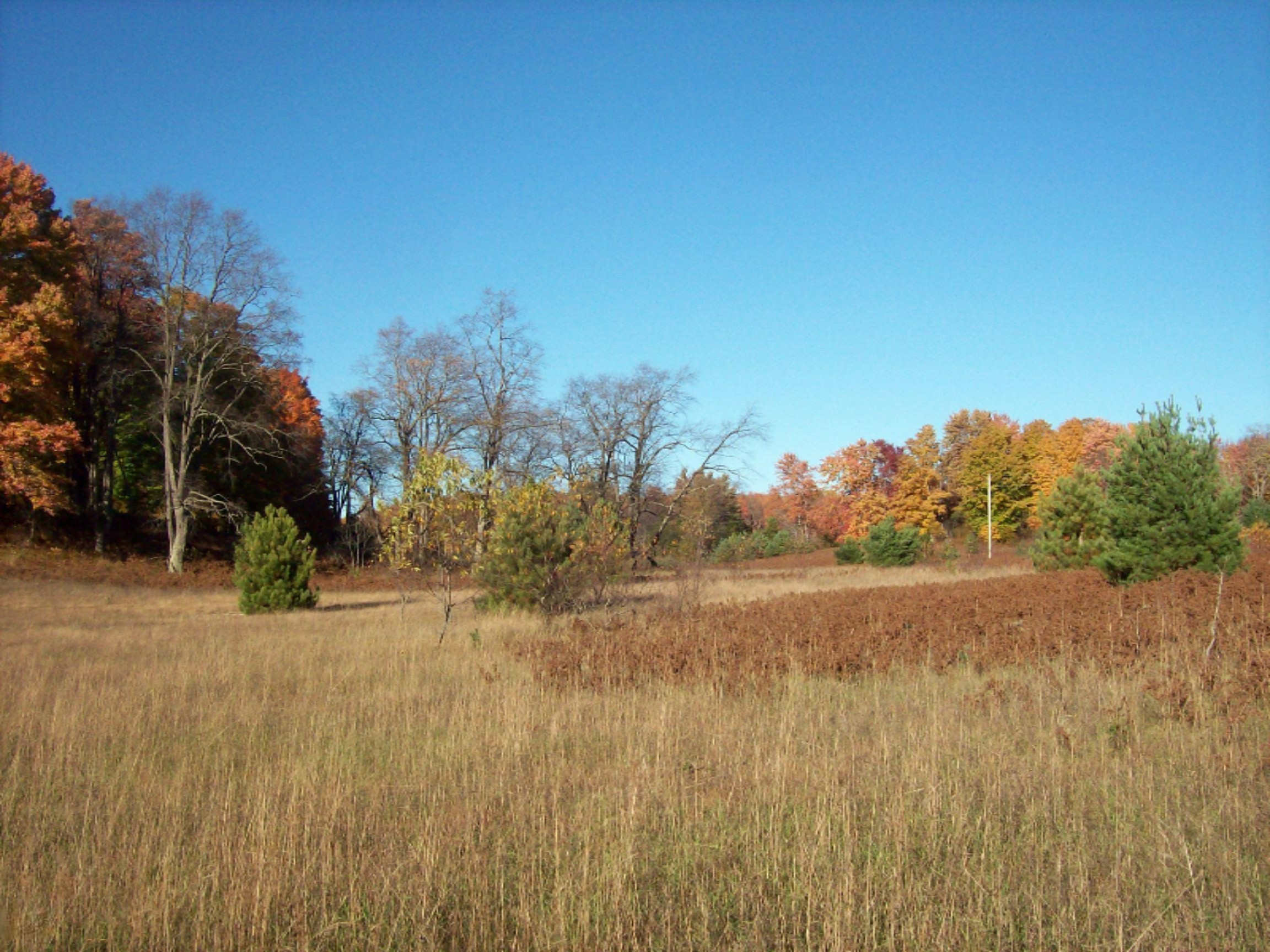11070 10 1/2 Road Copemish, MI 49625 - Photo 2 of 16 100_7283