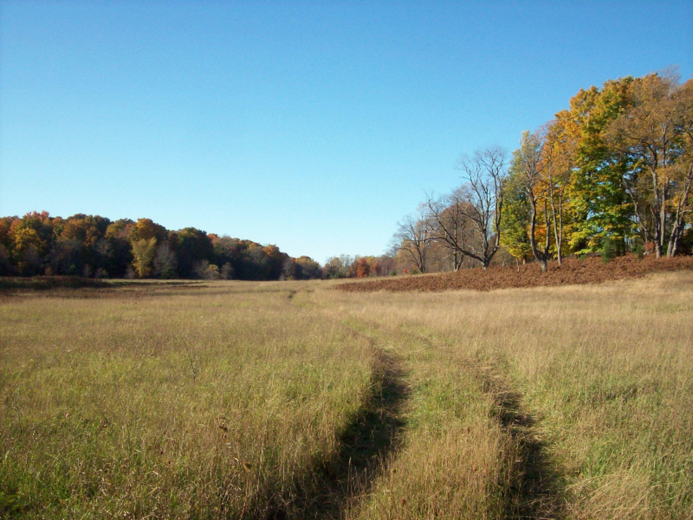 11070 10 1/2 Road Copemish, MI 49625 - Photo 4 of 16 100_7285