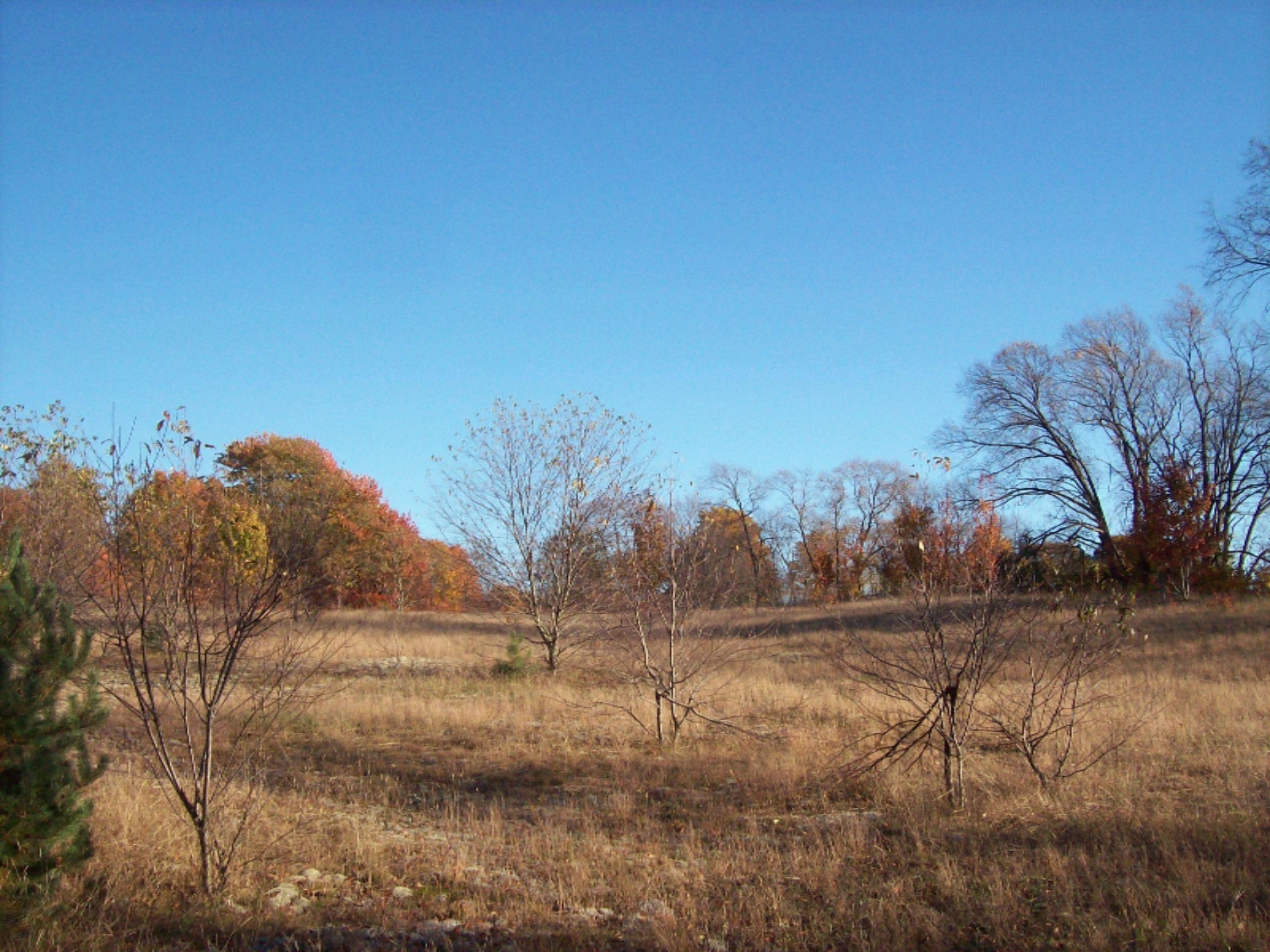 11070 10 1/2 Road Copemish, MI 49625 - Photo 5 of 16 100_7286