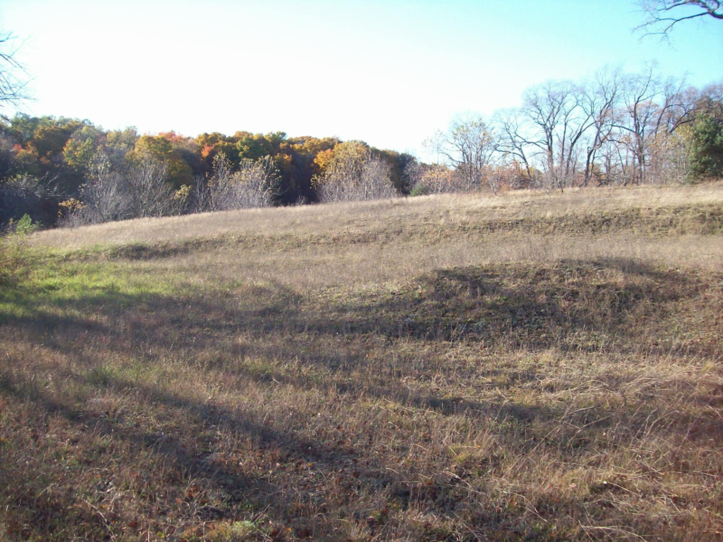 11070 10 1/2 Road Copemish, MI 49625 - Photo 8 of 16 100_7289
