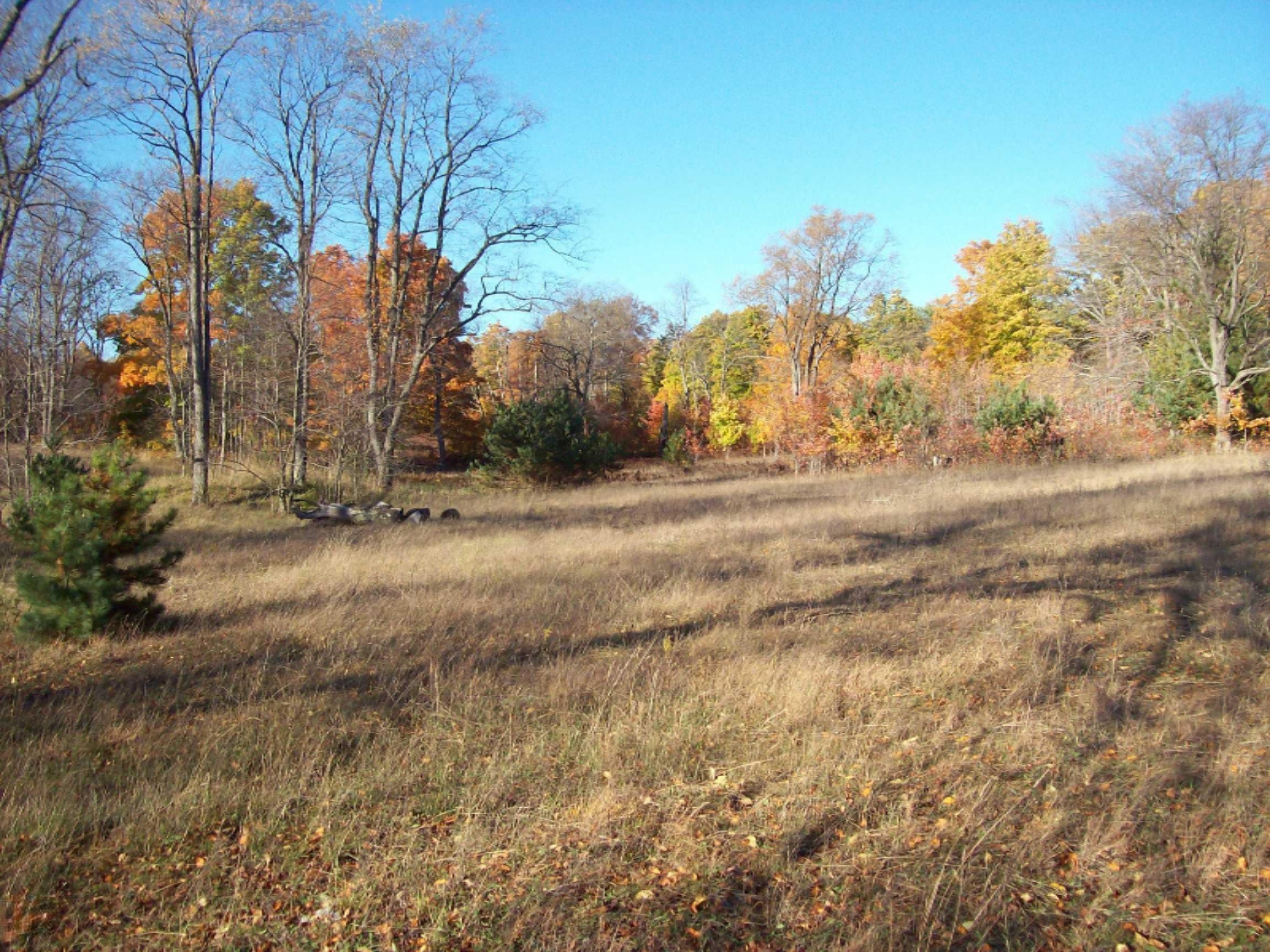 11070 10 1/2 Road Copemish, MI 49625 - Photo 9 of 16 100_7290