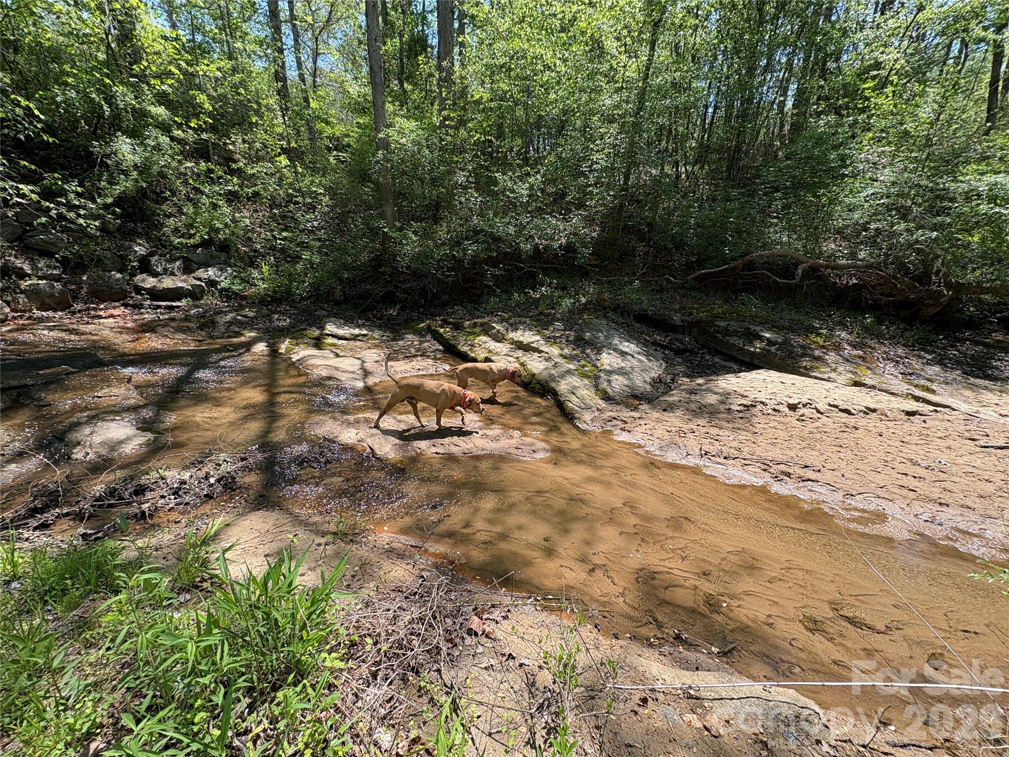 6 Hopewell Church Road, Unit 6 Hiddenite, NC 28636 - Photo 6 of 33 a view of a yard with a tree