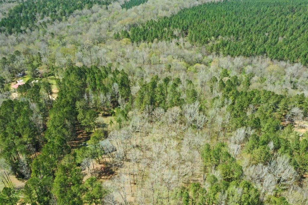 Lot 6 Highpoint Road Edgefield, SC 29824 - Photo 4 of 24
