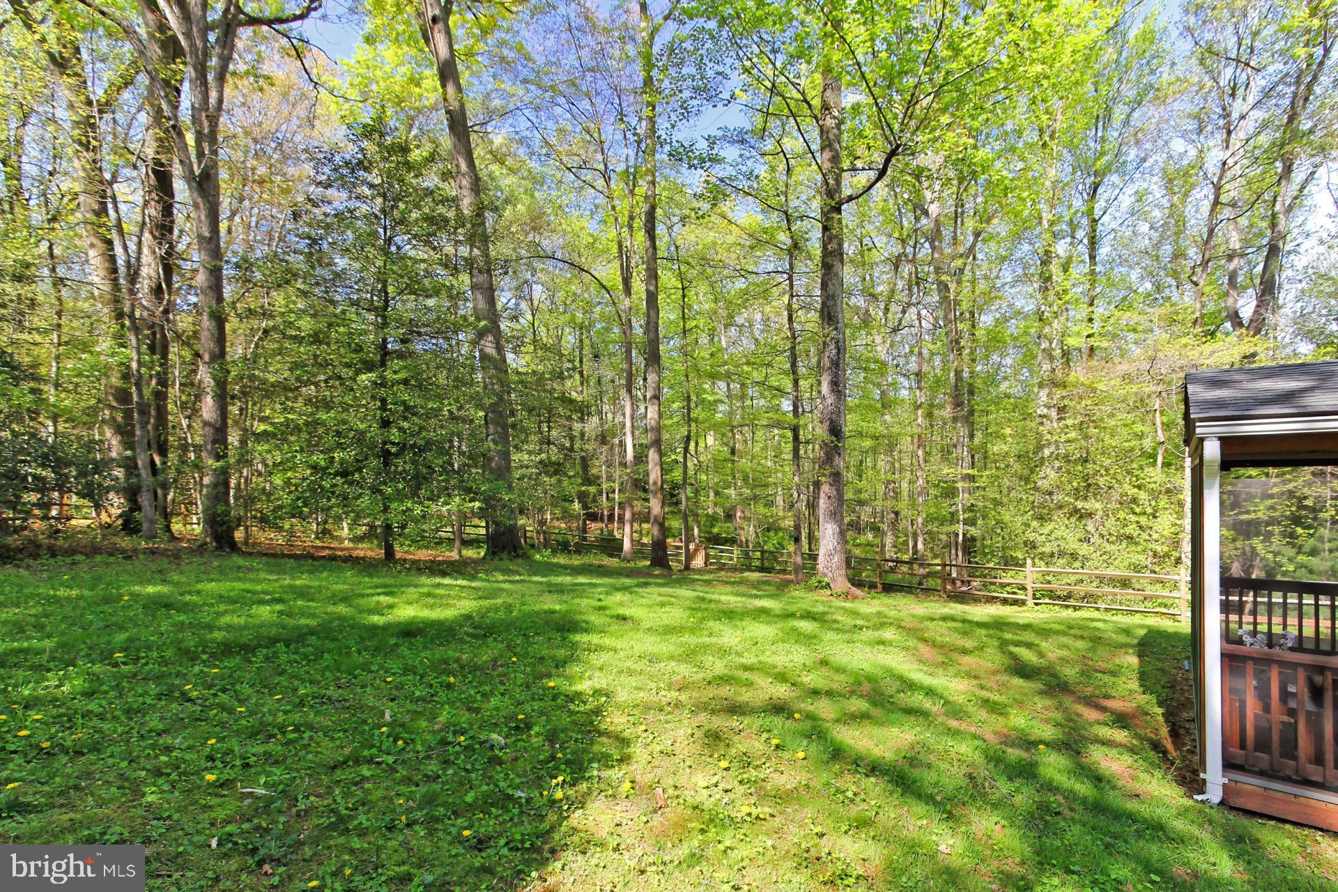 11026 Howland Drive Reston, VA 20191 - Photo 32 of 45 Fantastic 1/2 Acre Lot Backing to Parkland