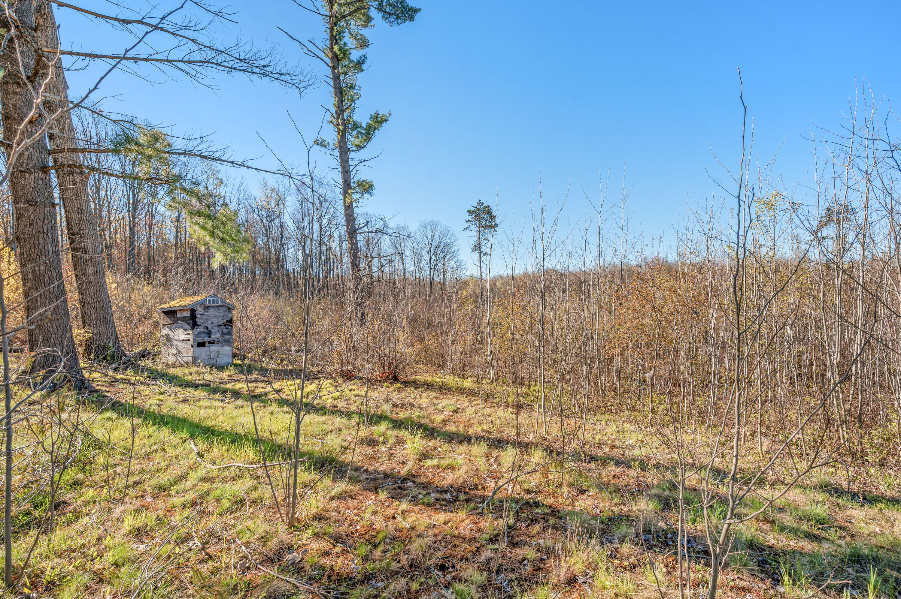 16107 12 Mile Road Leroy, MI 49655 - Photo 38 of 40 16107-12MileRd-Leroy-7