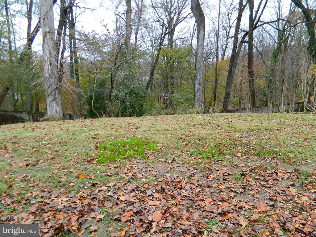 9 Marigold Court Silver Spring, MD 20906 - Photo 73 of 73 Gallery Image 73