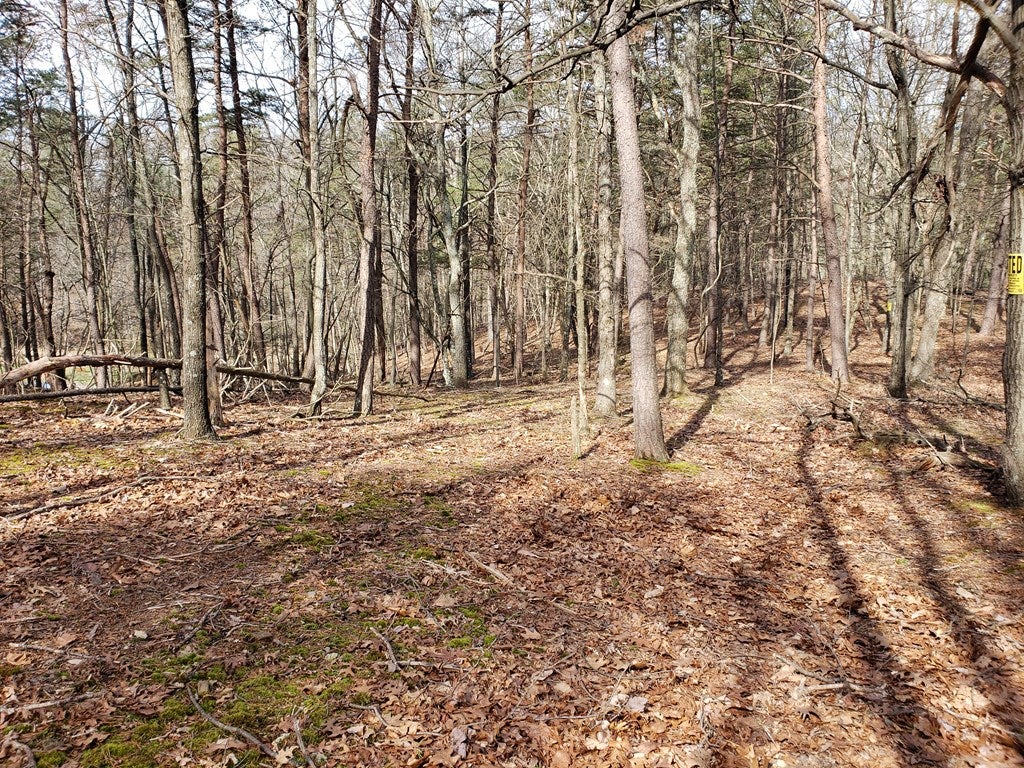 Lot Henderson Henderson Overlook Road Huntingdon, PA 16652 - Photo 7 of 9 Gallery Image 7