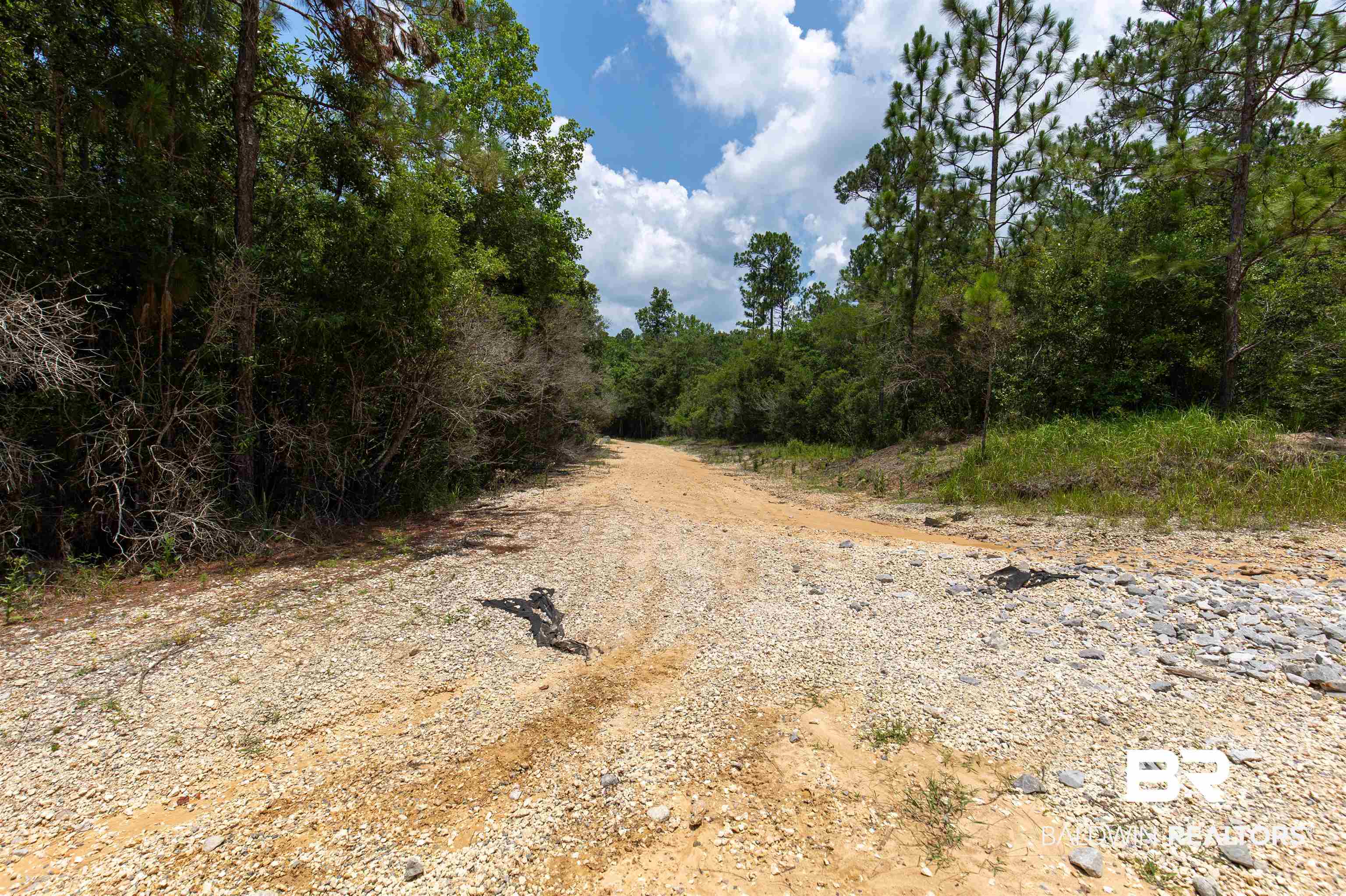 0 Schillinger Road Mobile, AL 36619 - Photo 11 of 25