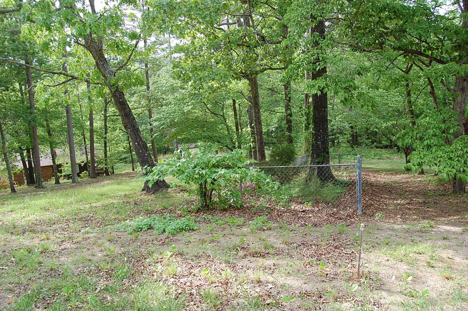 0 Carpenter Road Dunlap, TN 37327 - Photo 3 of 20 Gallery Image 3