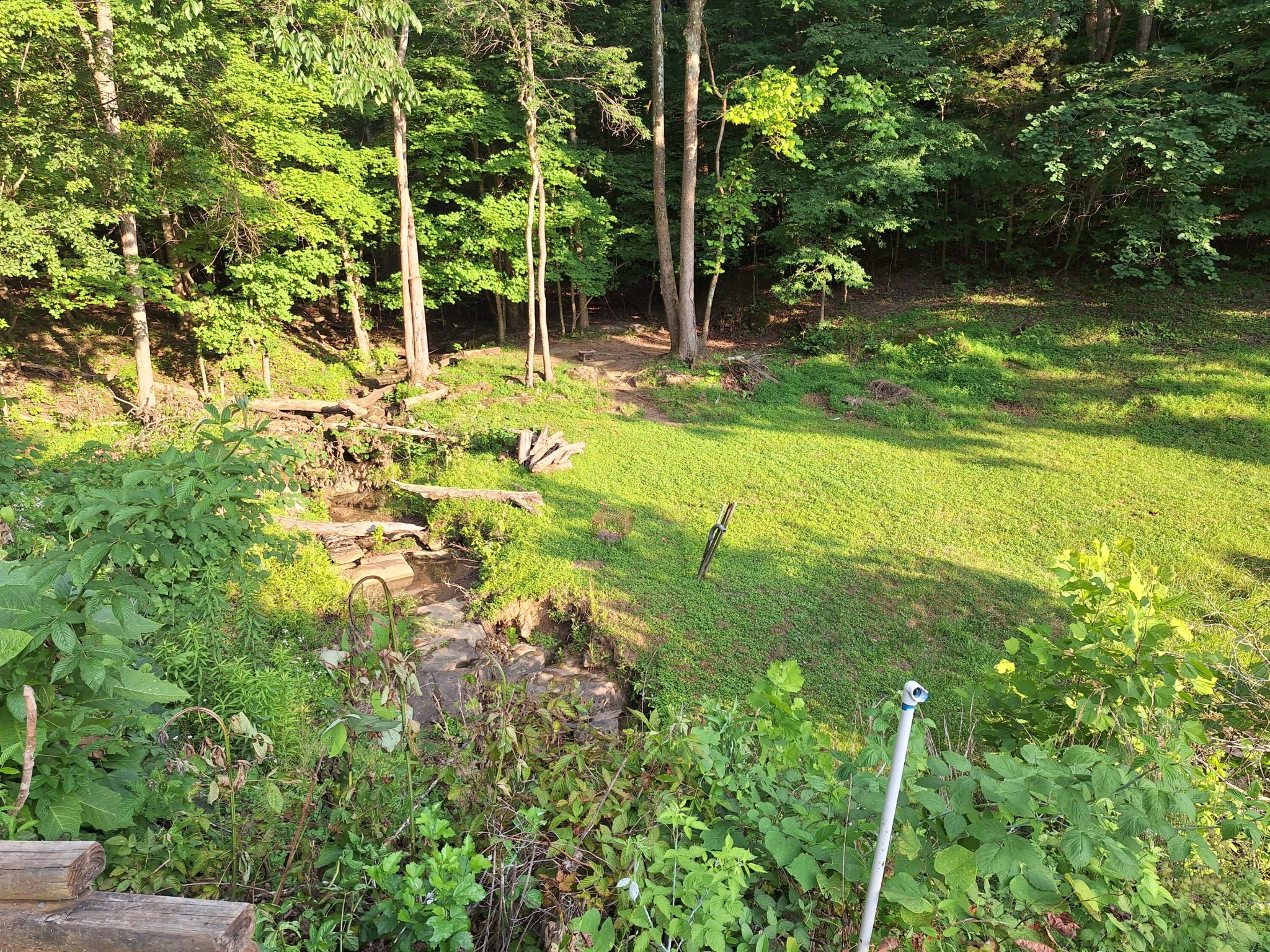 948 Wilson Station Road Englewood, TN 37329 - Photo 34 of 37