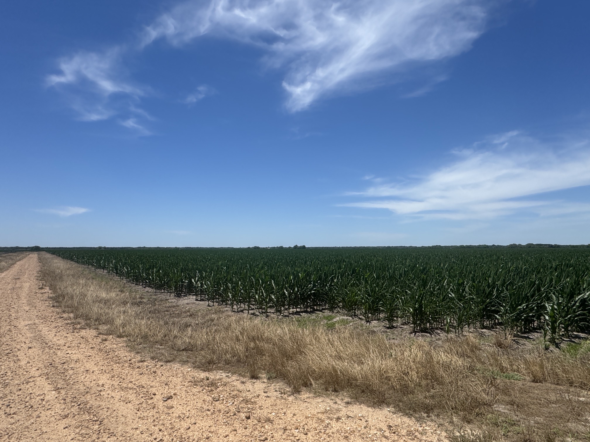 335 Rd Louise Tx 77455 Road El Campo, TX 77437 - Photo 2 of 19