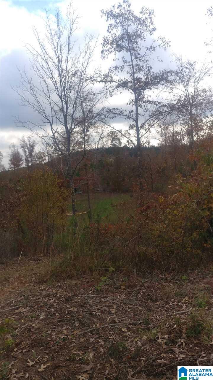 0 Bulldog Bend Road Brierfield, AL 35035 - Photo 18 of 32