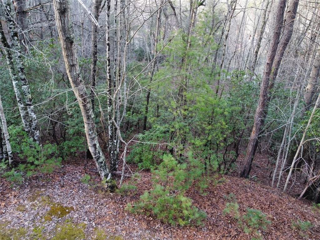 4 Villa Weg Helen, GA 30545 - Photo 3 of 11