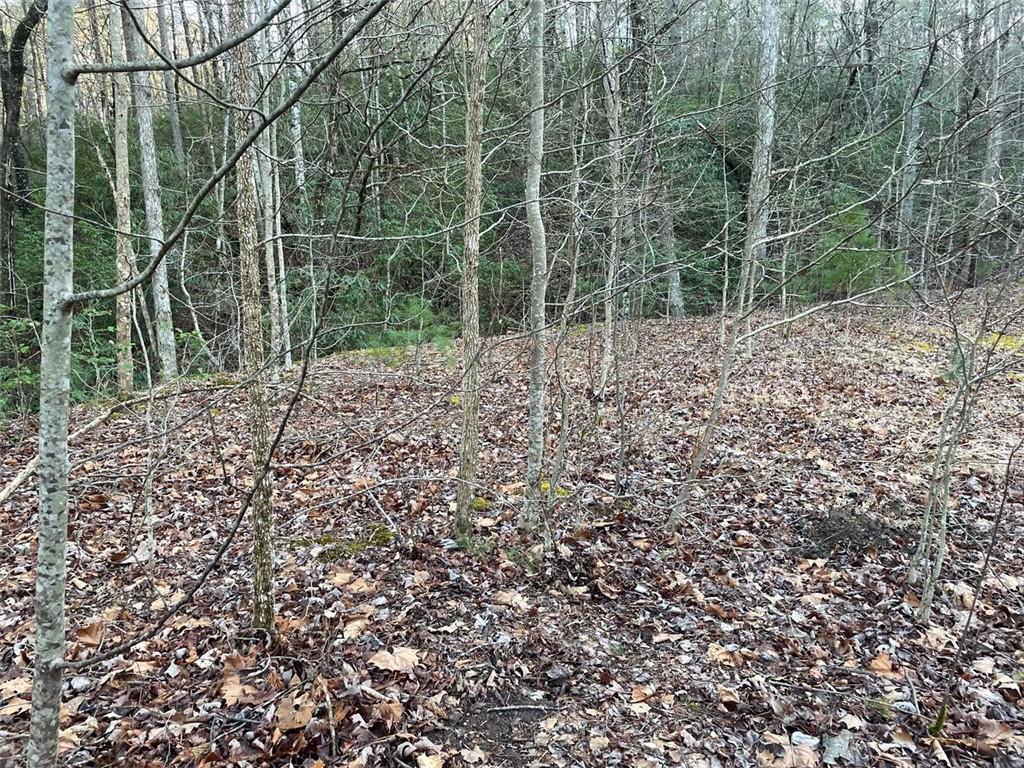 4 Villa Weg Helen, GA 30545 - Photo 4 of 11