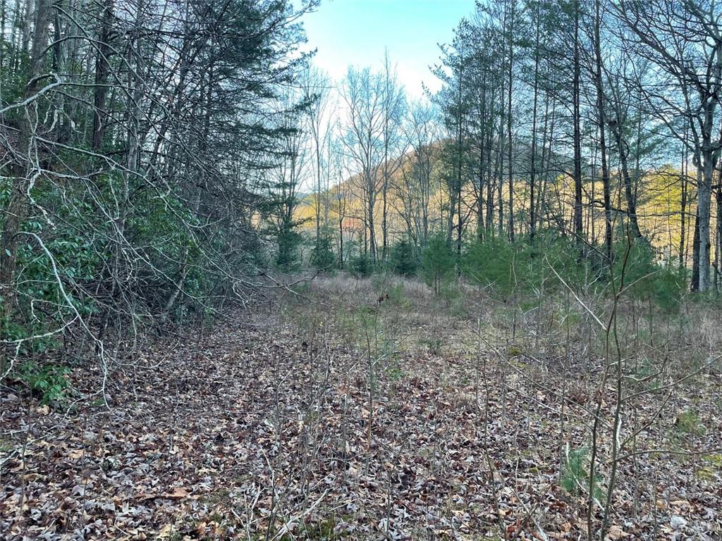 4 Villa Weg Helen, GA 30545 - Photo 5 of 11