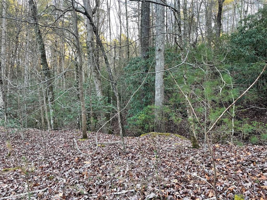 4 Villa Weg Helen, GA 30545 - Photo 7 of 11