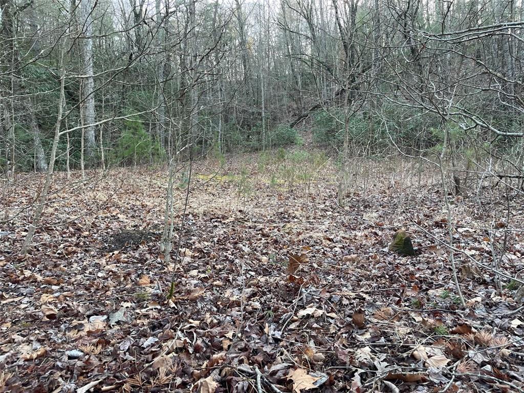 4 Villa Weg Helen, GA 30545 - Photo 8 of 11