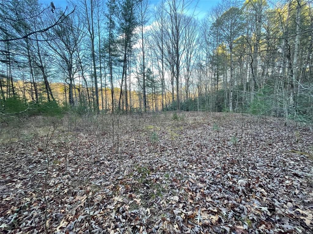 4 Villa Weg Helen, GA 30545 - Photo 9 of 11