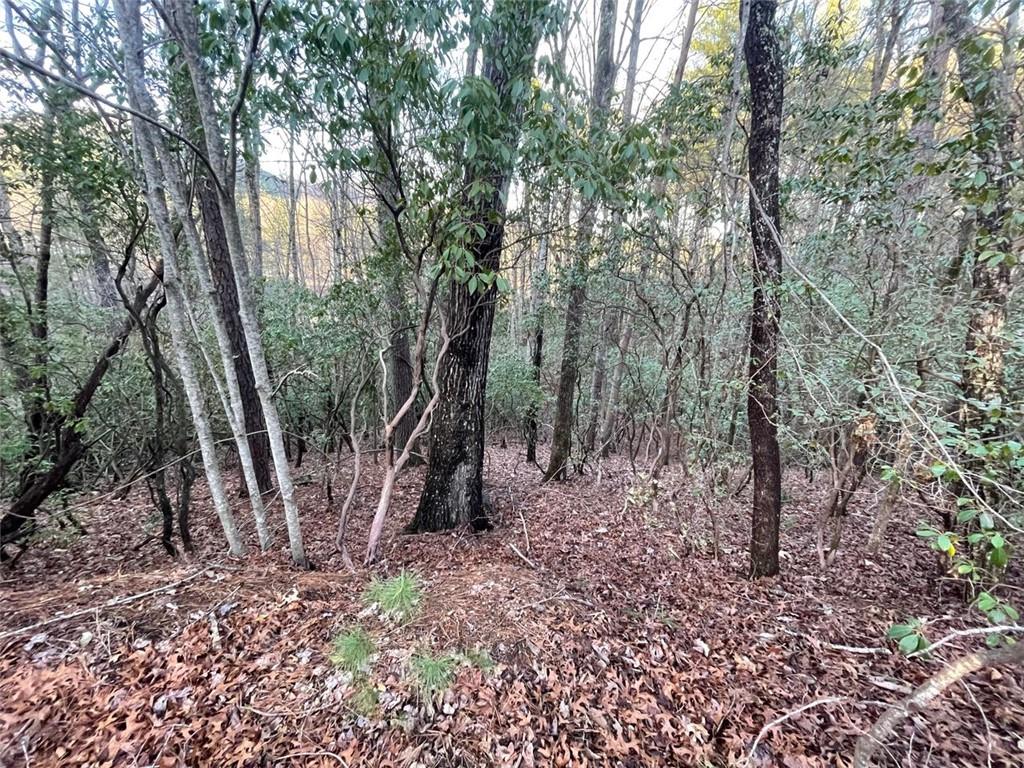 4 Villa Weg Helen, GA 30545 - Photo 10 of 11