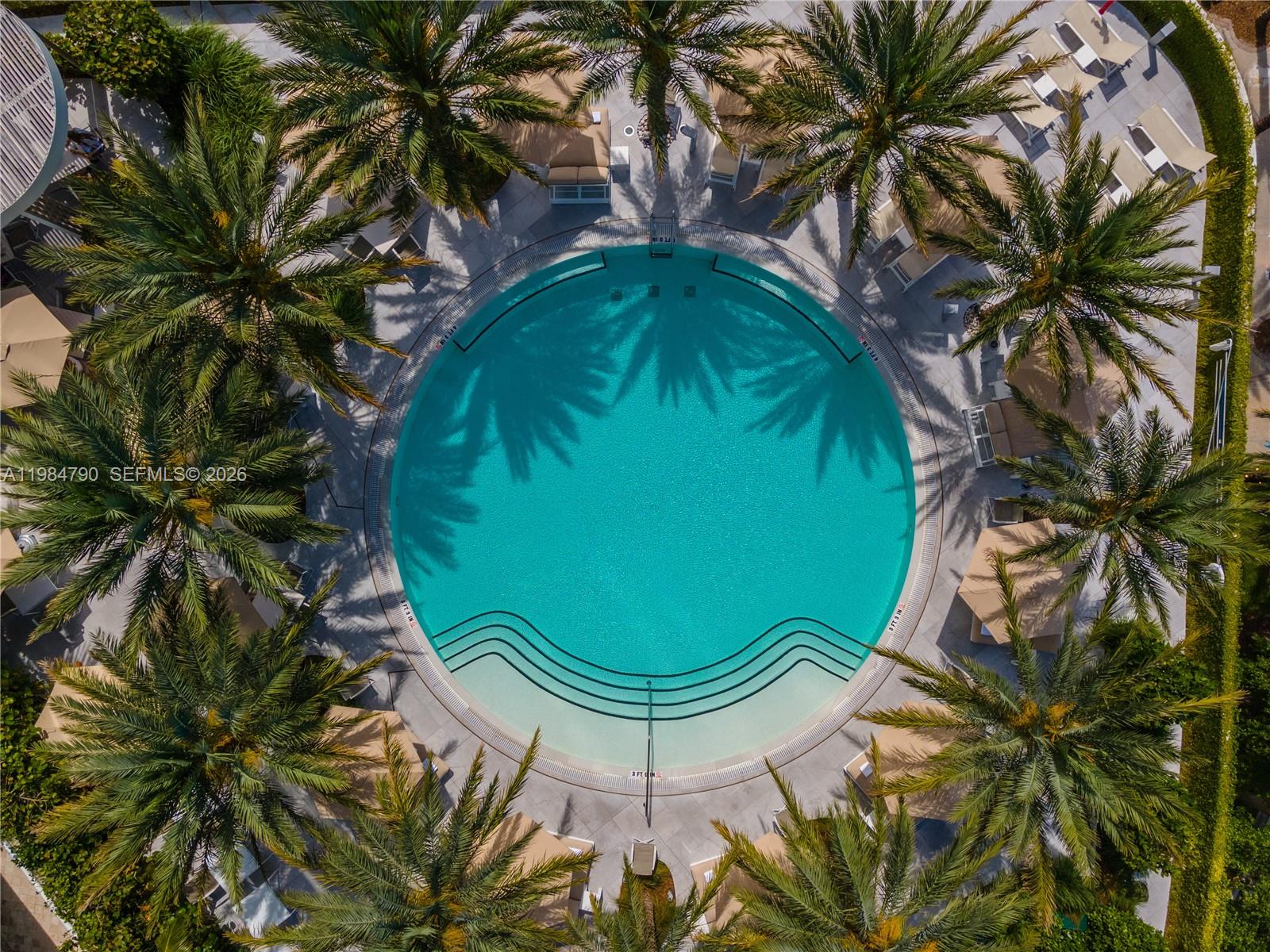 450 Alton Road, Unit 1507 Miami Beach, FL 33139 - Photo 65 of 72 a view of a swimming pool with a plant
