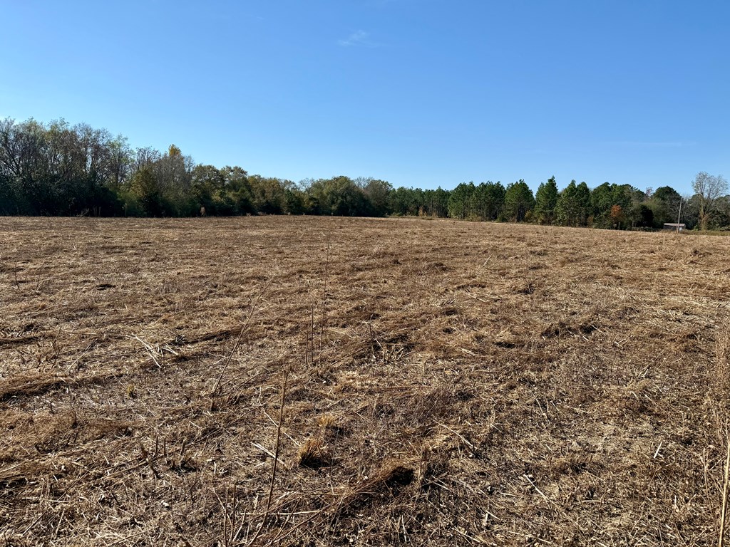 6.74-acres Huskey Road Dothan, AL 36303 - Photo 8 of 13