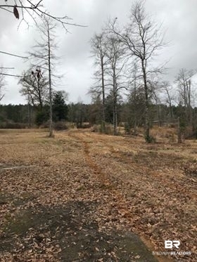 16000 Bradley Road Wing, AL 36483 - Photo 1 of 2
