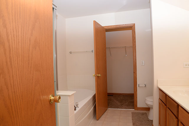 25148 Spring Street Manhattan, IL 60442 - Photo 12 of 15 a bathroom with a sink and shower