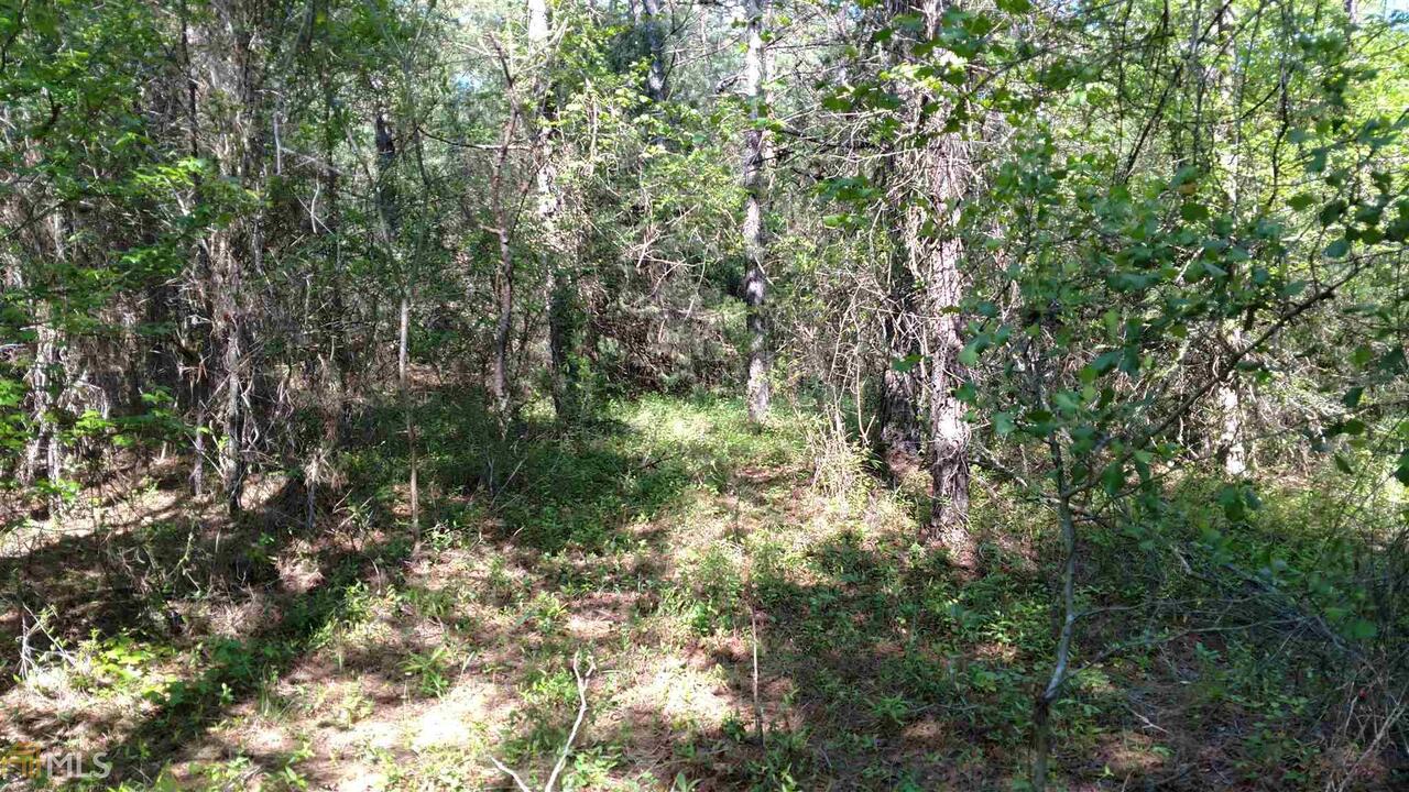 0 Salem Road Royston, GA 30662 - Photo 1 of 1